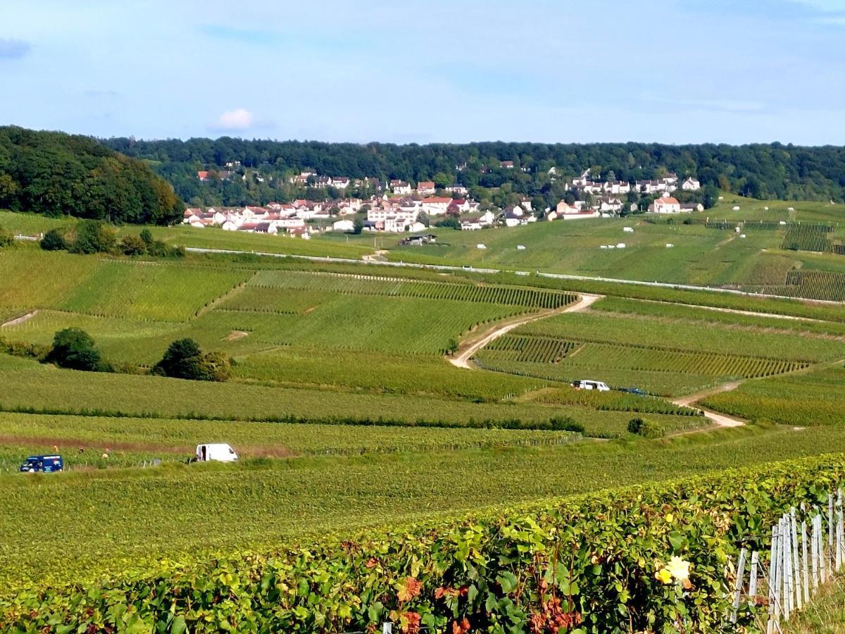 Capital De Champagne *